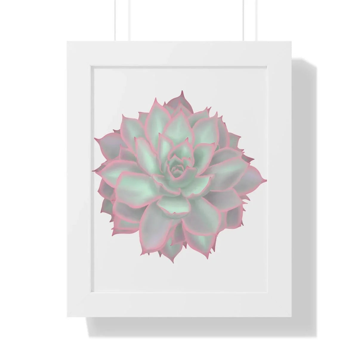 Echeveria Violet Queen Succulent Framed Print – Botanical Wall Art