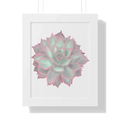 Echeveria Violet Queen Succulent Framed Print – Botanical Wall Art