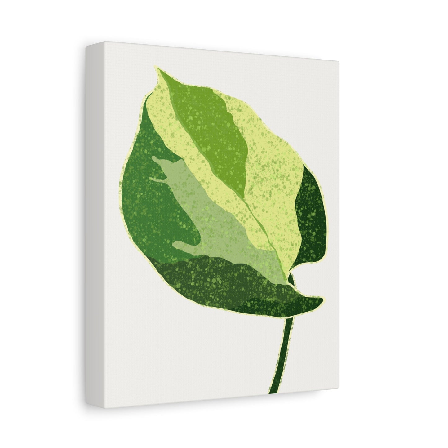 Manjula Pothos Illustrated Canvas Print – Botanical Wall Art