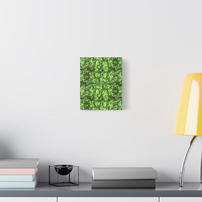 Aglaonema Pictum Canvas Print – Botanical Wall Art