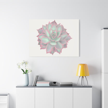 Echeveria Violet Queen Succulent Canvas Print – Botanical Wall Art