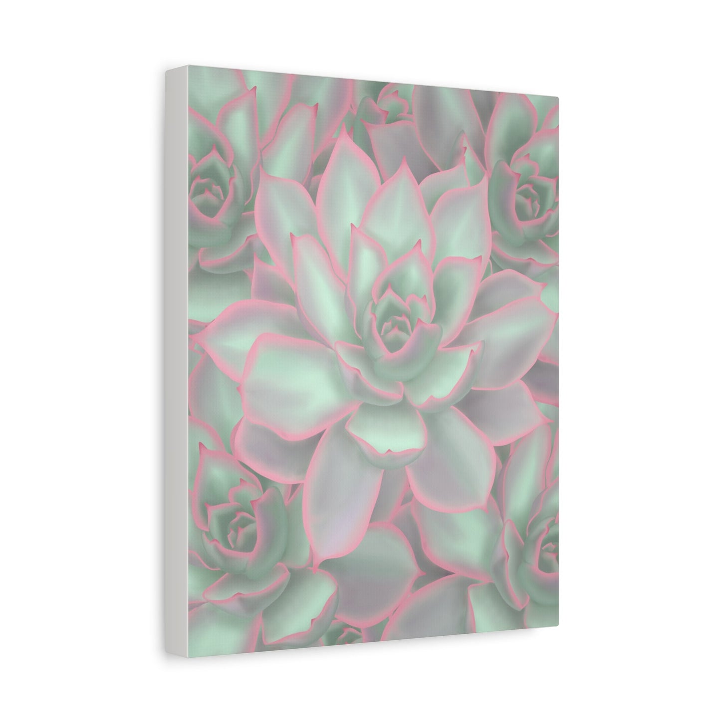 Echeveria Violet Queen Succulent Pattern Canvas Print – Botanical Wall Art