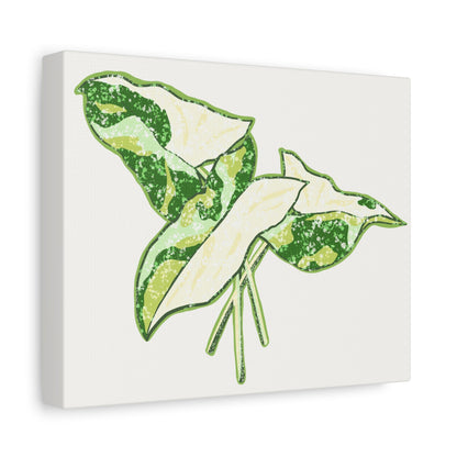 Marble Syngonium Canvas Print – Botanical Wall Art