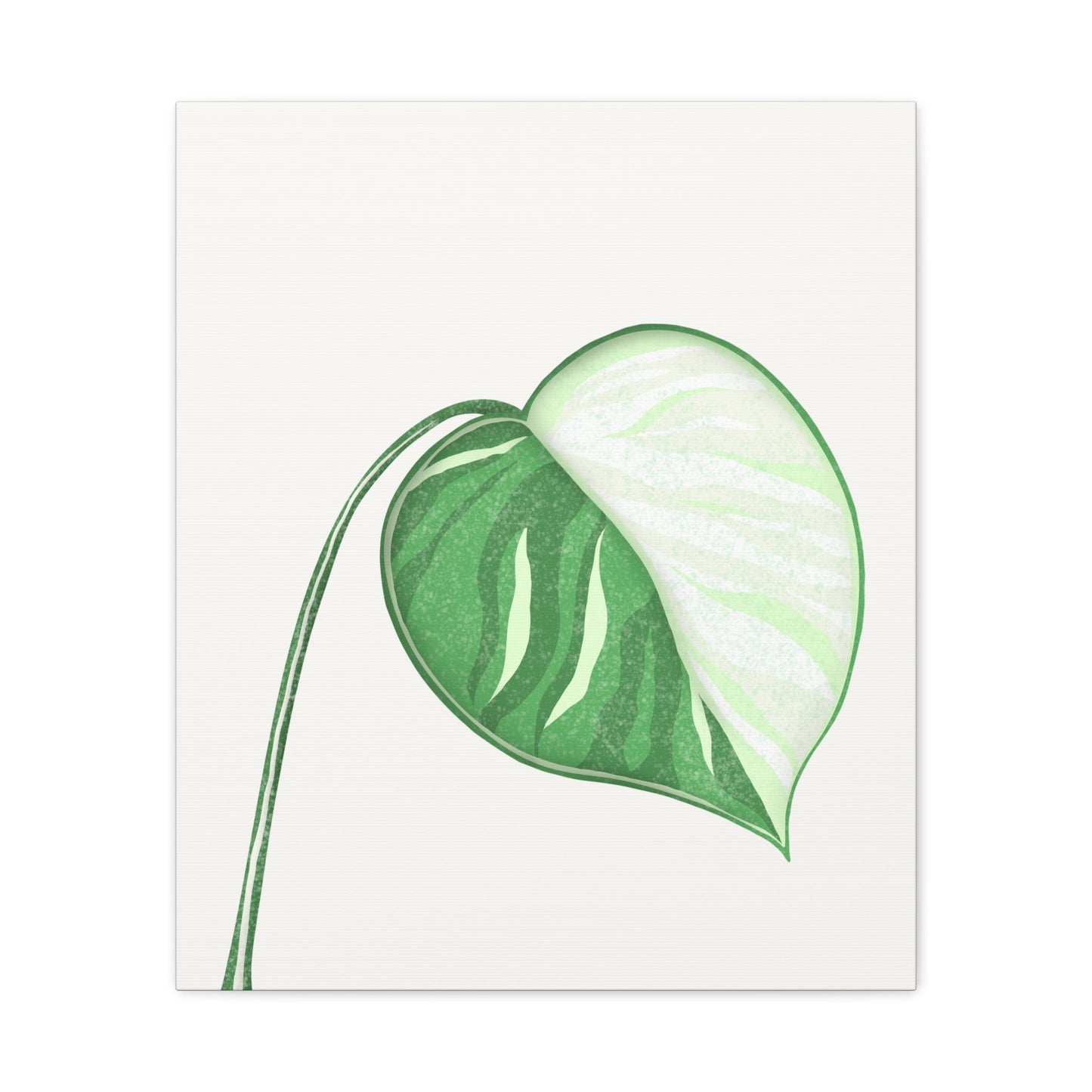 Monstera Albo Canvas Print – Botanical Wall Art