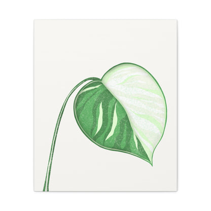 Monstera Albo Canvas Print – Botanical Wall Art