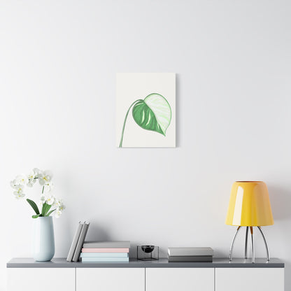 Monstera Albo Canvas Print – Botanical Wall Art
