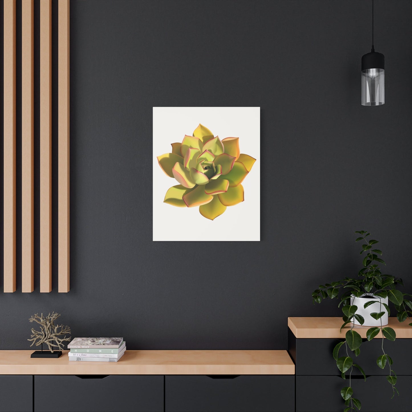 Noble Aeonium Succulent Canvas Print – Botanical Wall Art