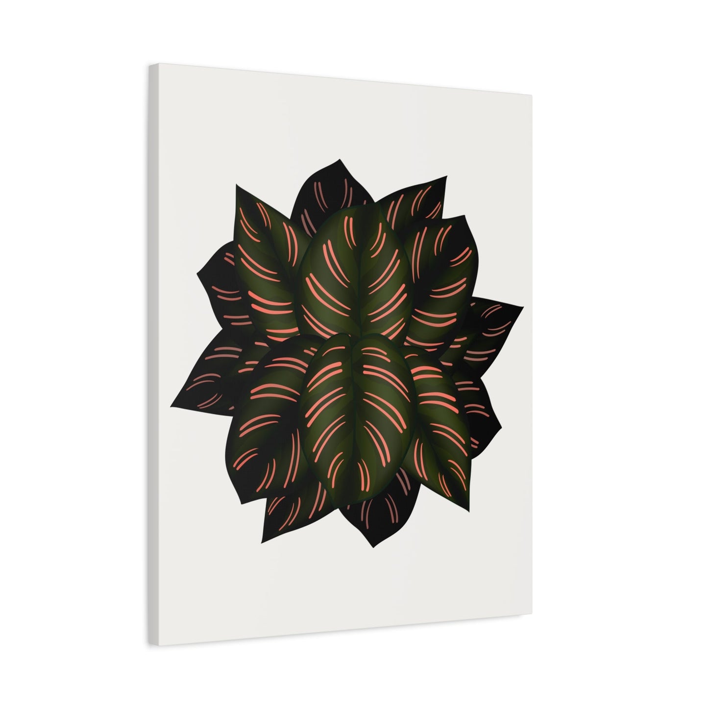 Calathea Pinstripe Canvas Print – Botanical Wall Art