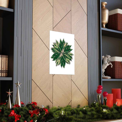 Stromanthe Triostar Botanical Print – Unframed Wall Art