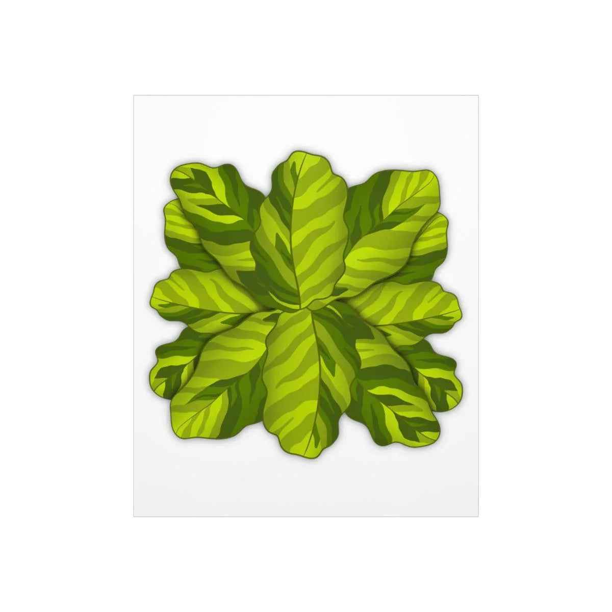 Calathea Yellow Fusion Botanical Print – Unframed Wall Art