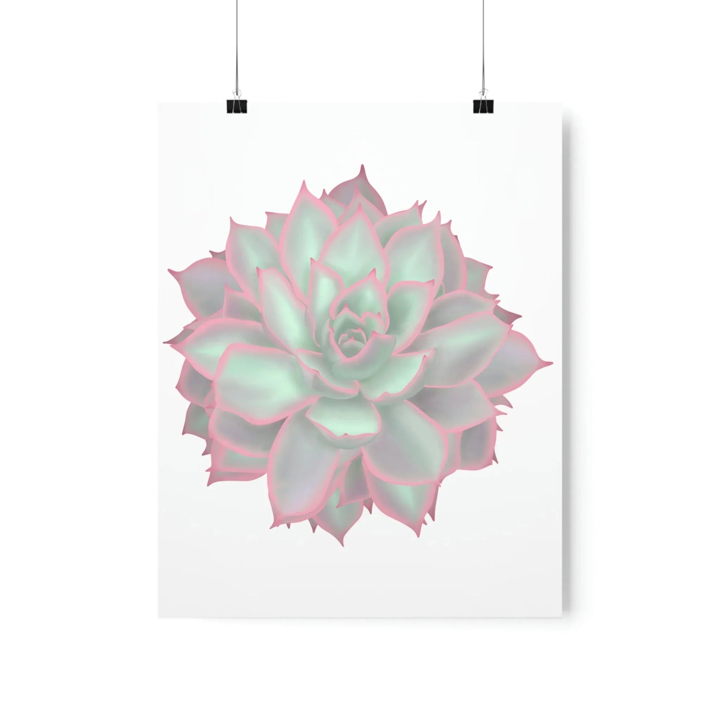 Echeveria Violet Queen Succulent Botanical Print – Unframed Wall Art