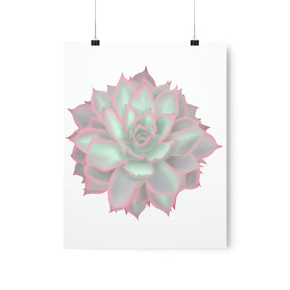 Echeveria Violet Queen Succulent Botanical Print – Unframed Wall Art