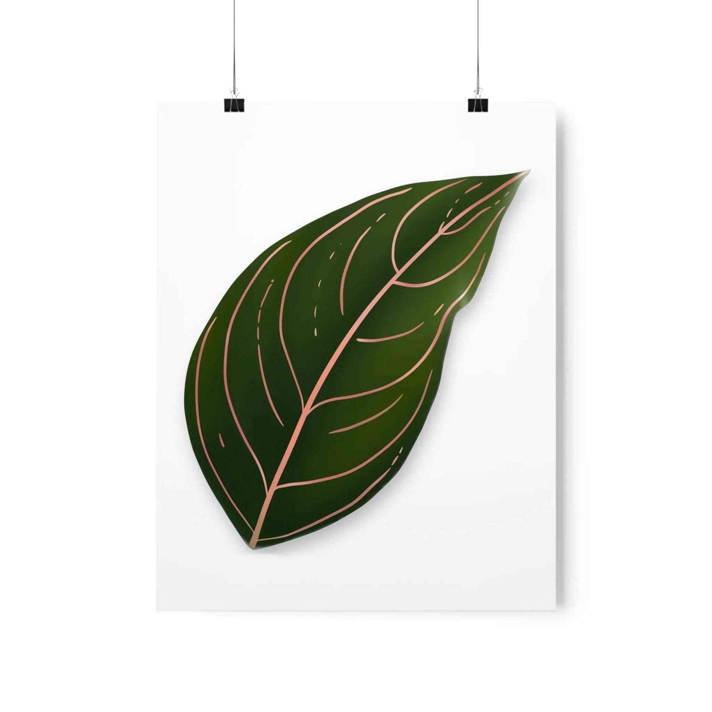 Aglaonema Rotundum Botanical Print – Unframed Wall Art
