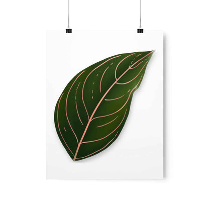 Aglaonema Rotundum Botanical Print – Unframed Wall Art