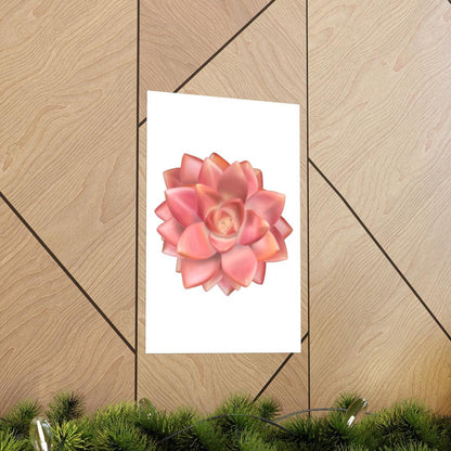 Graptosedum California Sunset Succulent Botanical Print – Unframed Wall Art