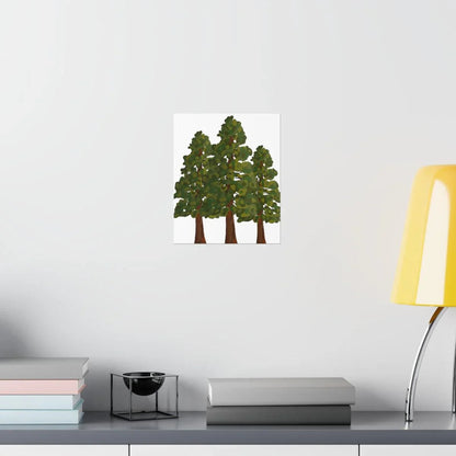 Coastal Redwood Print – Unframed Wall Art