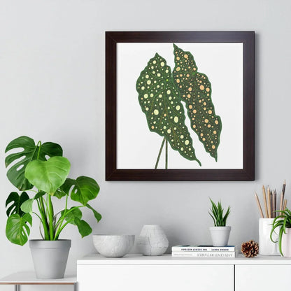 Begonia Maculata Framed Print – Botanical Wall Art
