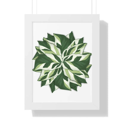 Calathea White Fusion Framed Print – Botanical Wall Art