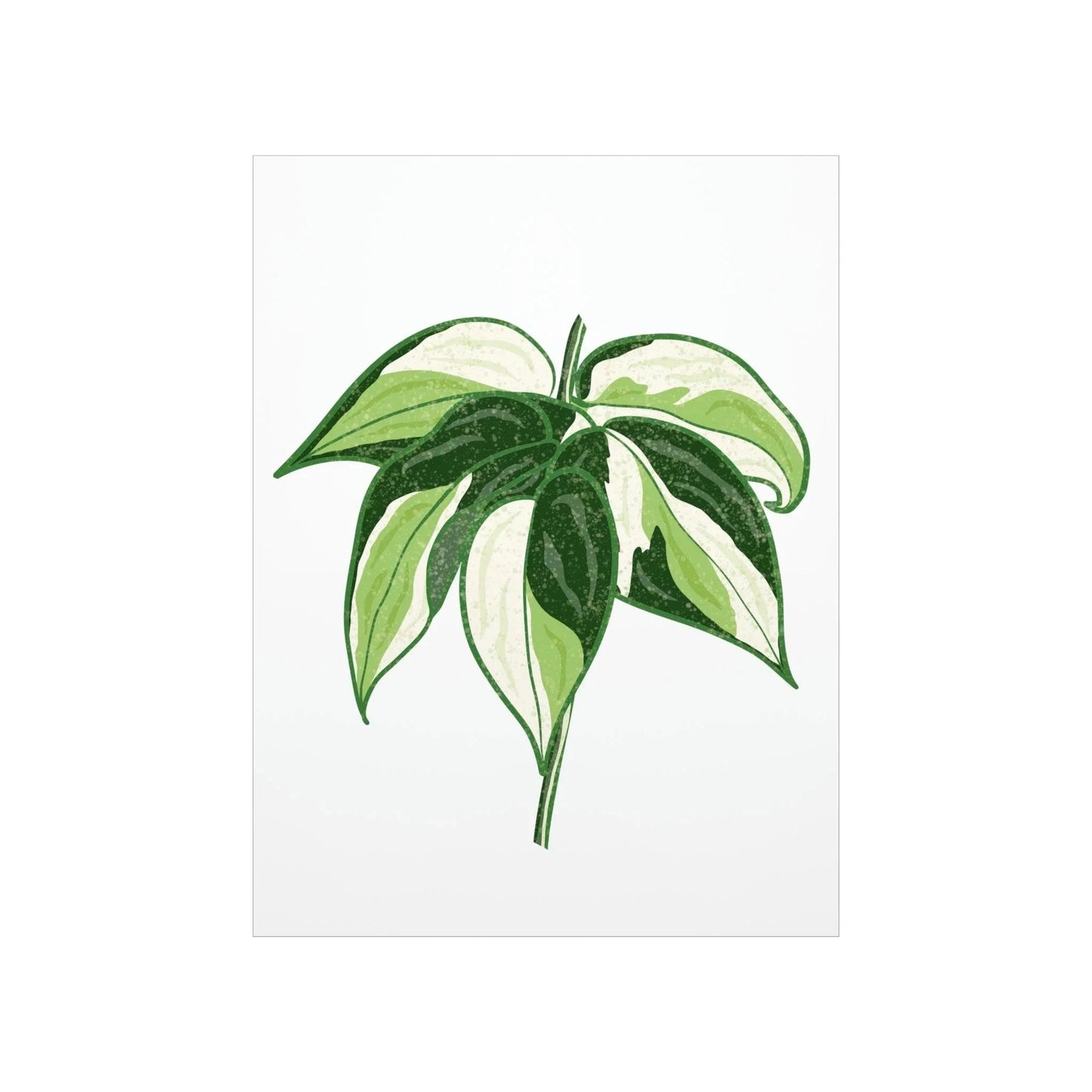 Philodendron Cream Splash Botanical Print – Unframed Wall Art