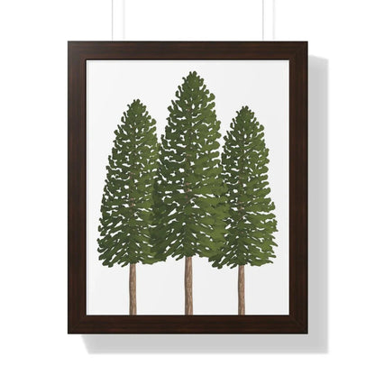 Ponderosa Pine Framed Print – Wall Art