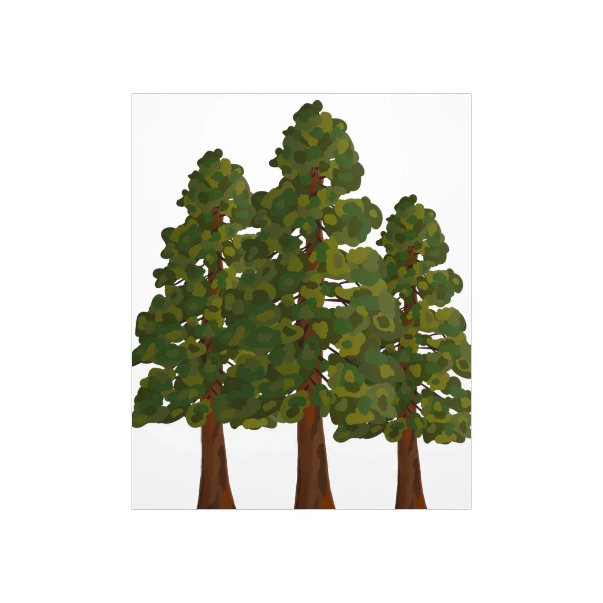 Coastal Redwood Print – Unframed Wall Art
