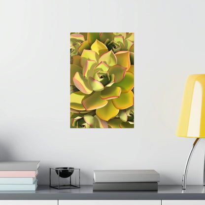 Noble Aeonium Succulent Pattern Botanical Print – Unframed Wall Art