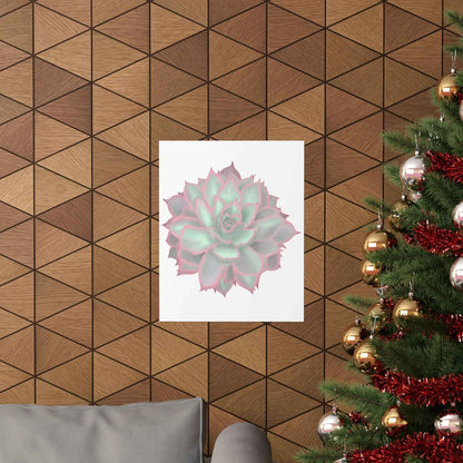 Echeveria Violet Queen Succulent Botanical Print – Unframed Wall Art