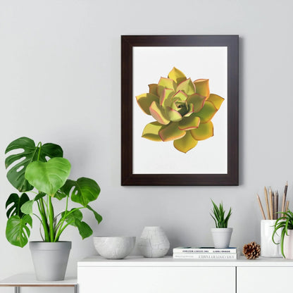 Noble Aeonium Succulent Framed Print – Botanical Wall Art