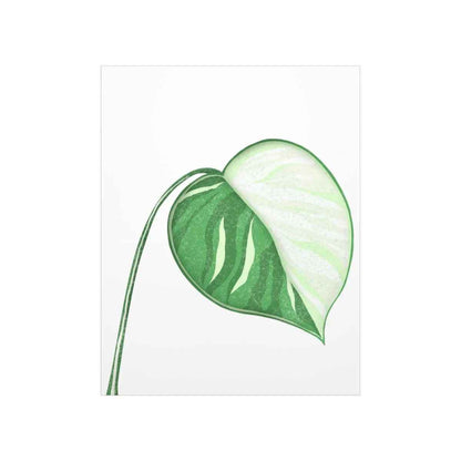 Monstera Albo Botanical Print – Unframed Wall Art