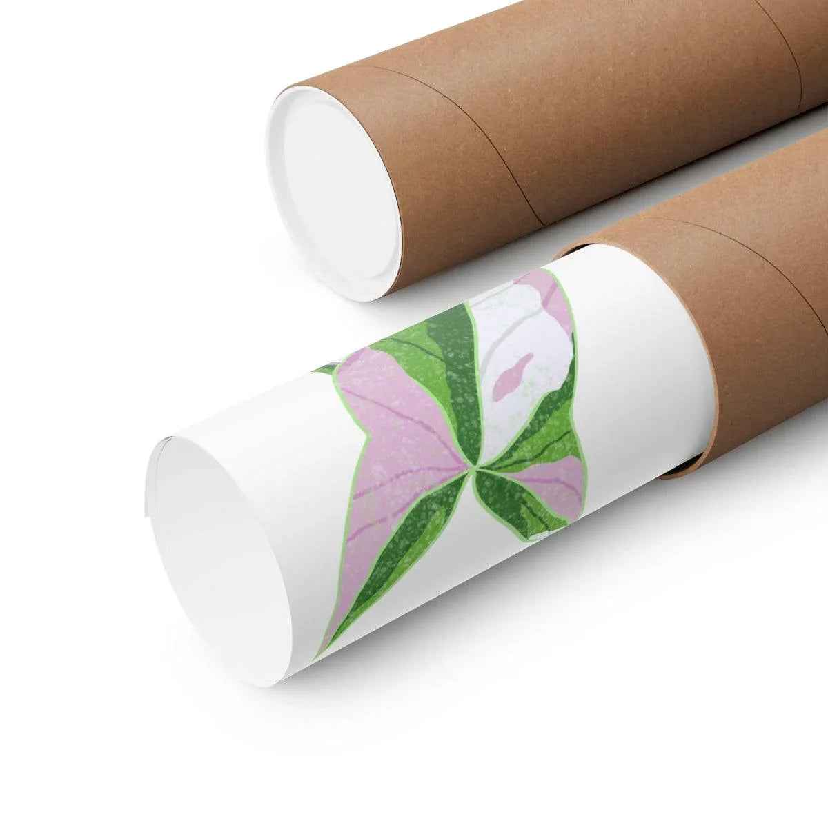 Syngonium Tricolor Botanical Print – Unframed Wall Art