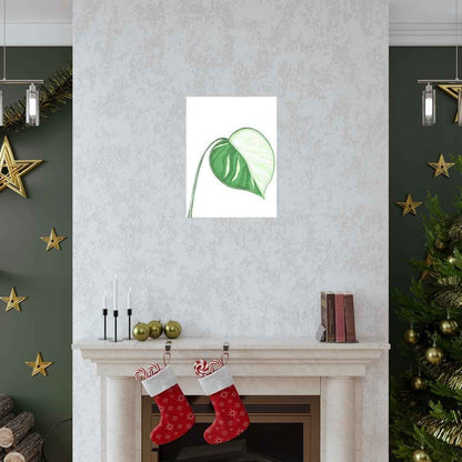 Monstera Albo Botanical Print – Unframed Wall Art