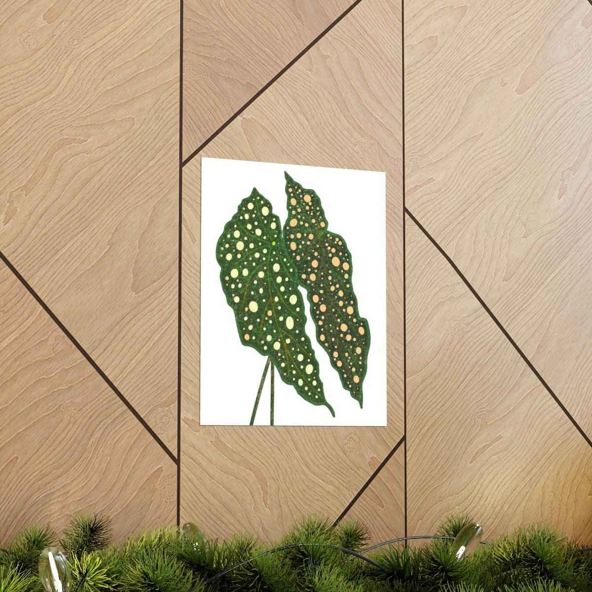 Begonia Maculata Botanical Print – Unframed Wall Art