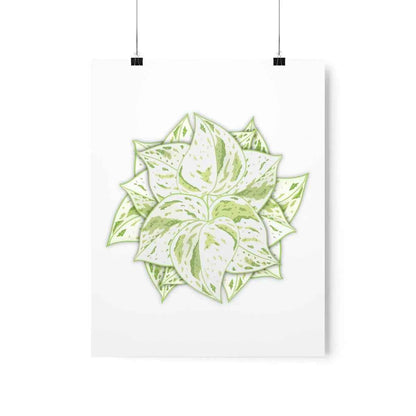 Snow Queen Pothos Botanical Print – Unframed Wall Art