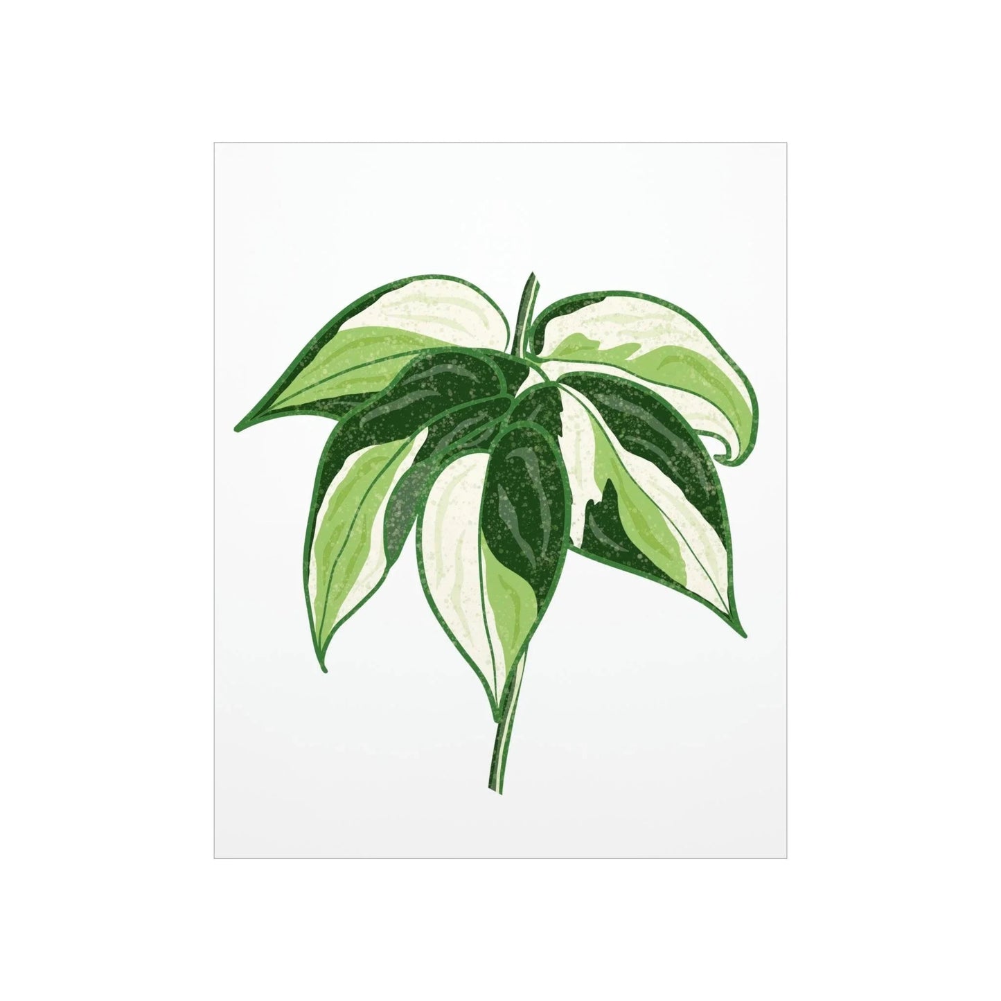 Philodendron Cream Splash Botanical Print – Unframed Wall Art