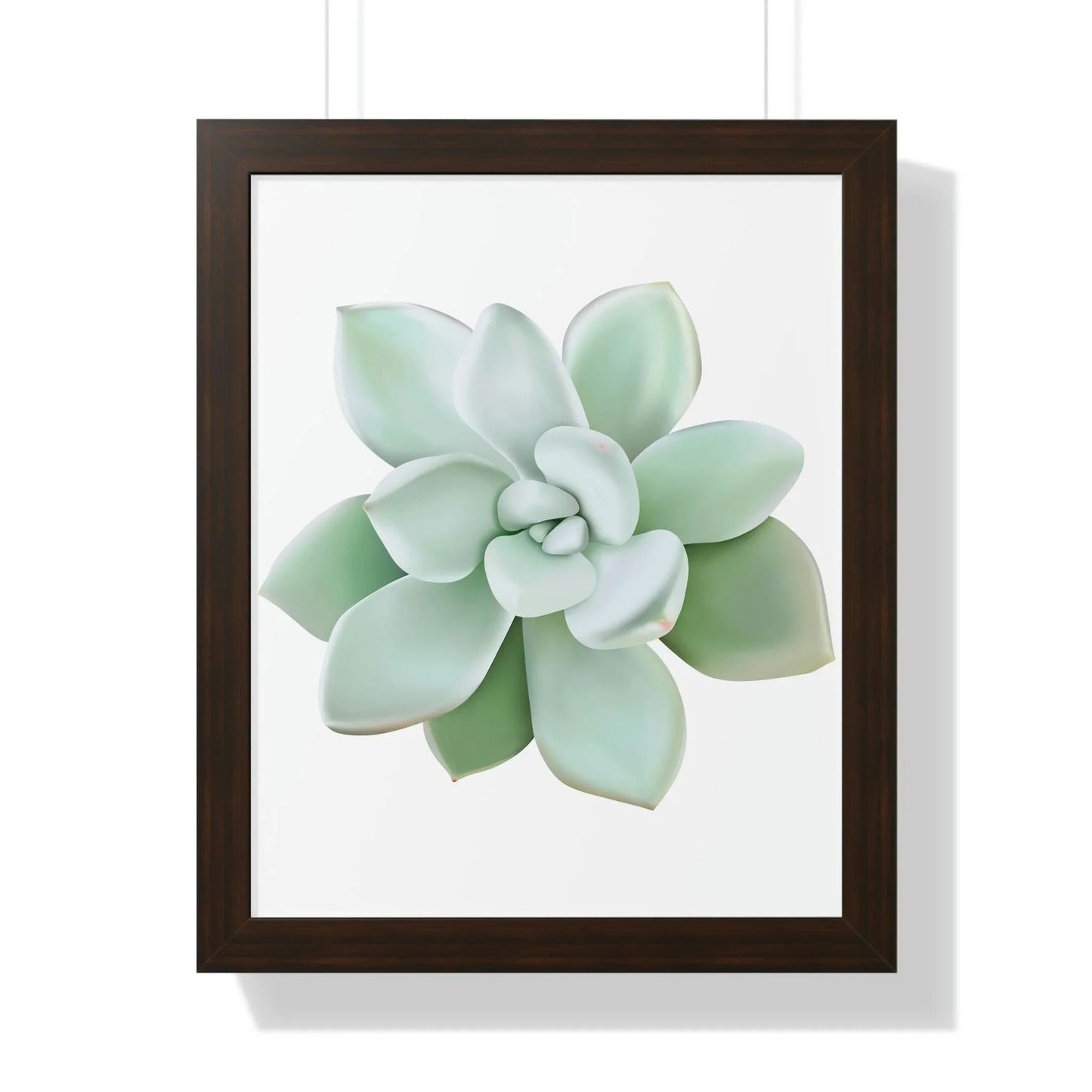 Pachyveria Haagei Succulent Framed Print – Botanical Wall Art