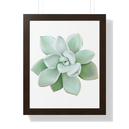 Pachyveria Haagei Succulent Framed Print – Botanical Wall Art