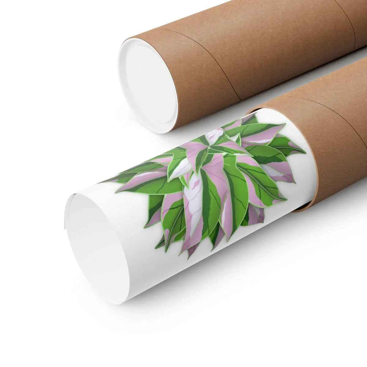 Syngonium Tricolor Pattern Botanical Print – Unframed Wall Art