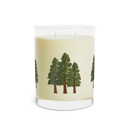 Coastal Redwood Soy Candle 11 oz – Three Scent Options