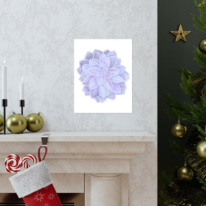 Graptopetalum Murasaki Succulent Botanical Print – Unframed Wall Art