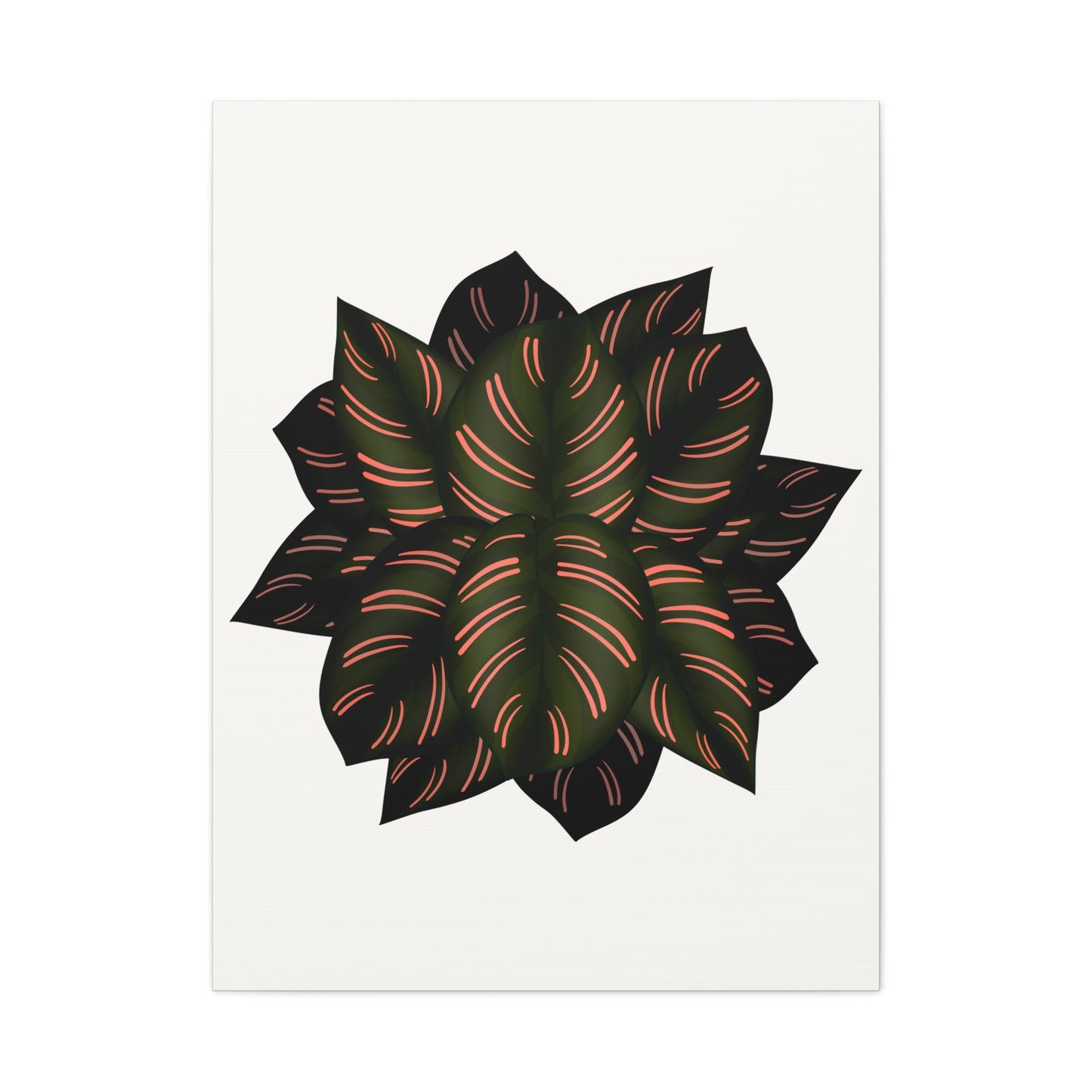 Calathea Pinstripe Canvas Print – Botanical Wall Art