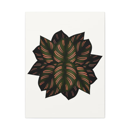 Calathea Pinstripe Canvas Print – Botanical Wall Art