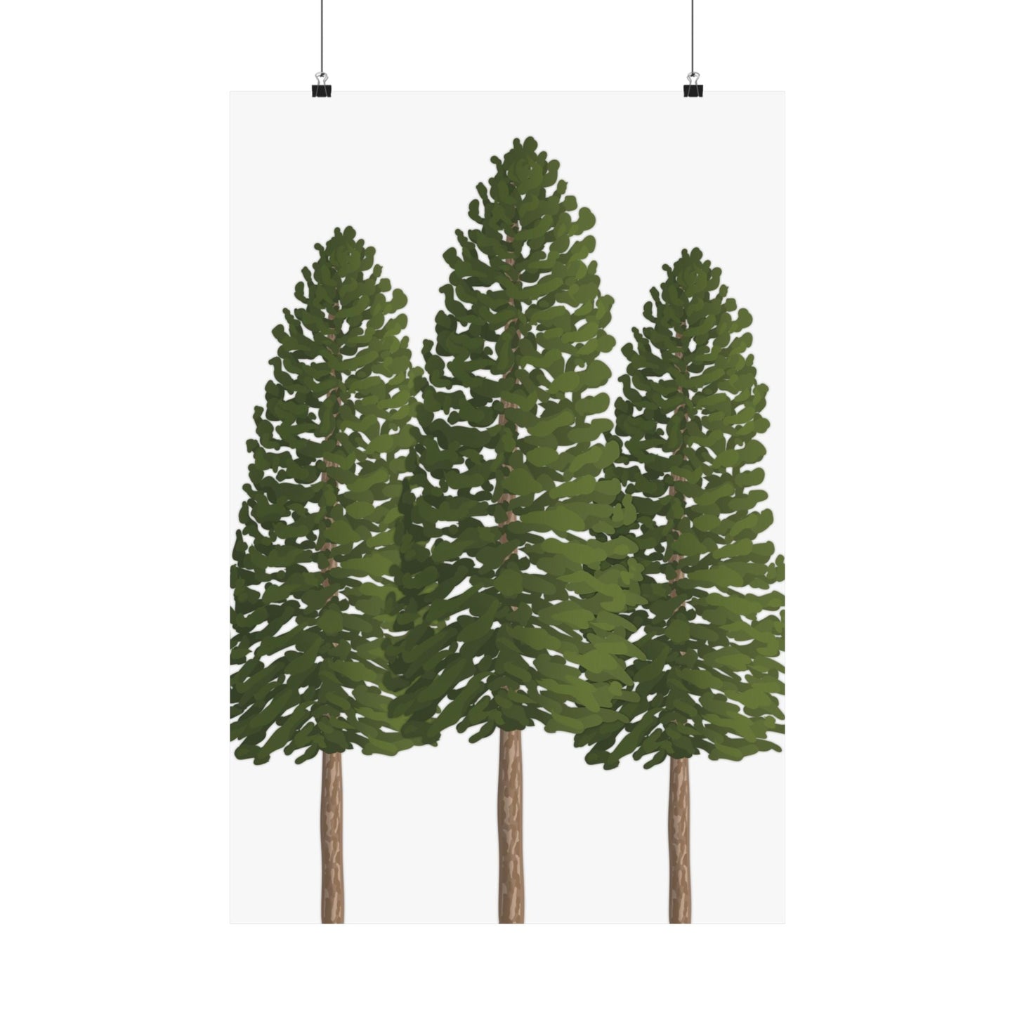 Ponderosa Pine Print – Unframed Wall Art