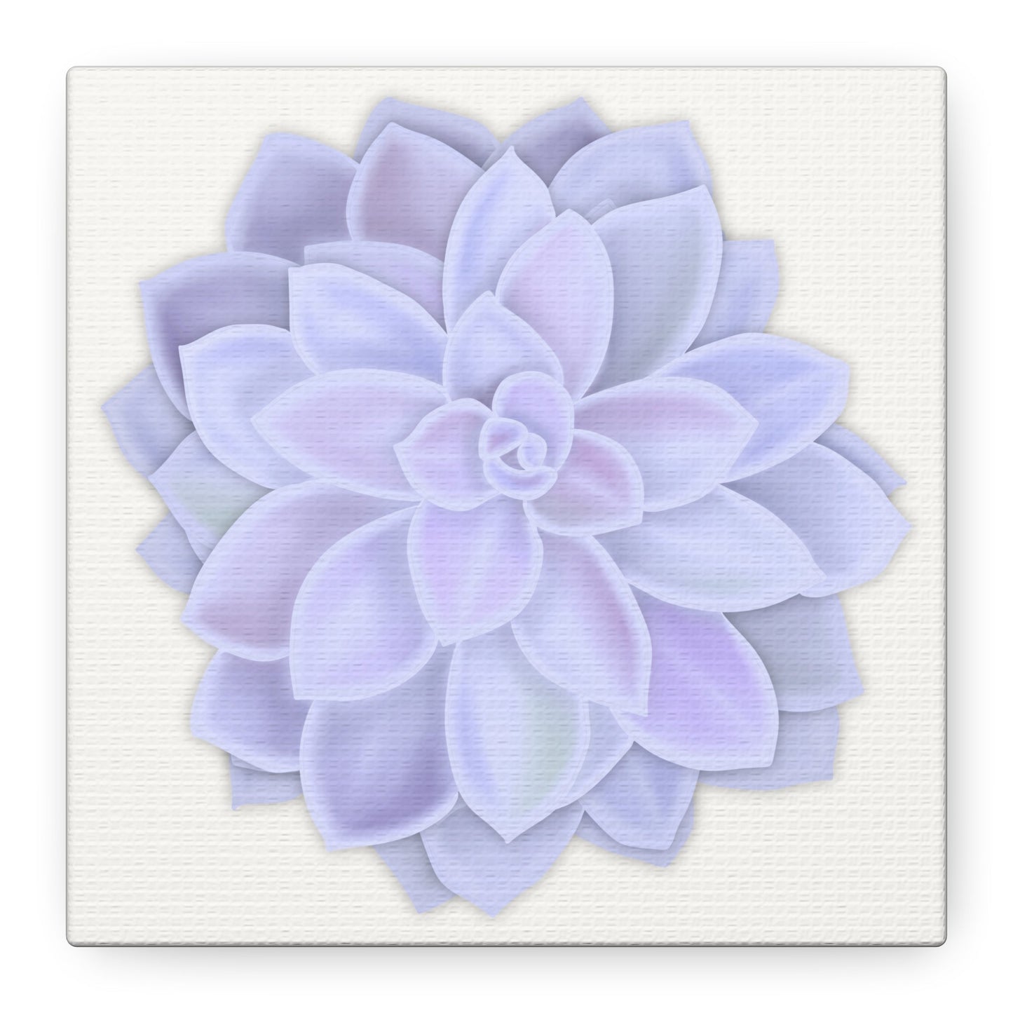 Graptopetalum Murasaki Succulent Canvas Print – Botanical Wall Art