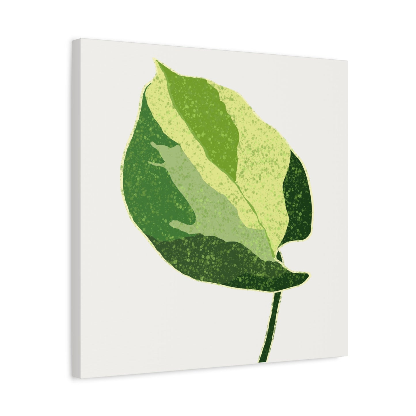 Manjula Pothos Illustrated Canvas Print – Botanical Wall Art