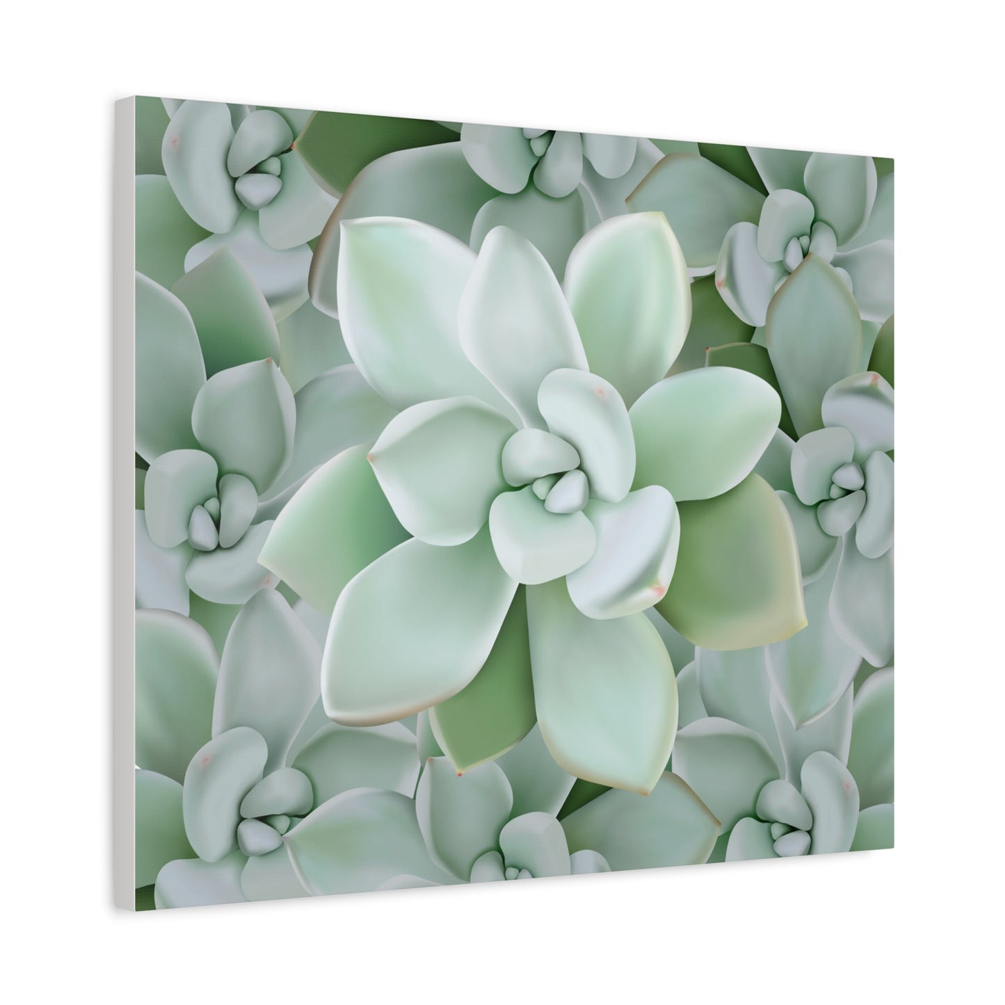 Pachyveria Haagei Succulent Pattern Canvas Print – Botanical Wall Art