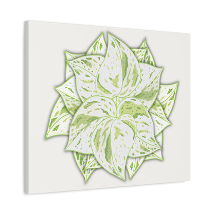 Snow Queen Pothos Canvas Print – Botanical Wall Art