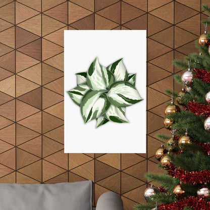 Manjula Pothos Botanical Print – Unframed Wall Art