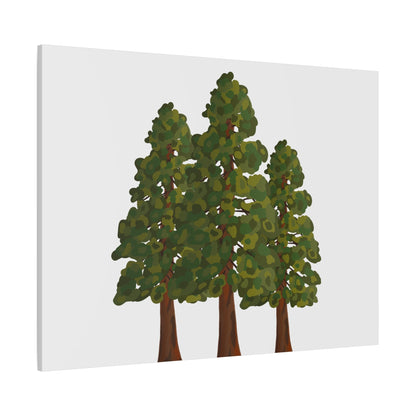 Coastal Redwood Canvas Print – Wall Art