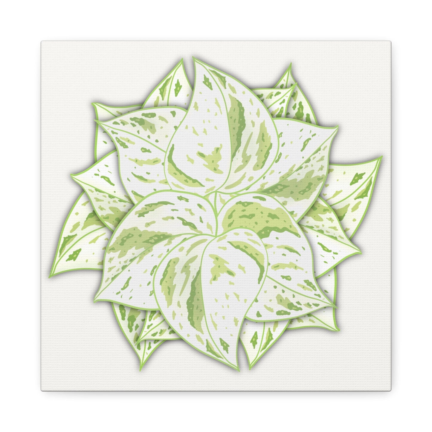 Snow Queen Pothos Canvas Print – Botanical Wall Art