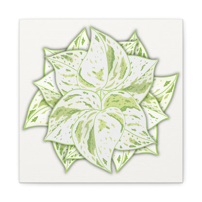 Snow Queen Pothos Canvas Print – Botanical Wall Art